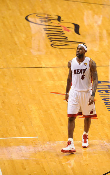 小波特的未 小波特的未